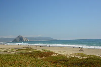 DSC_2504 (Large).JPG